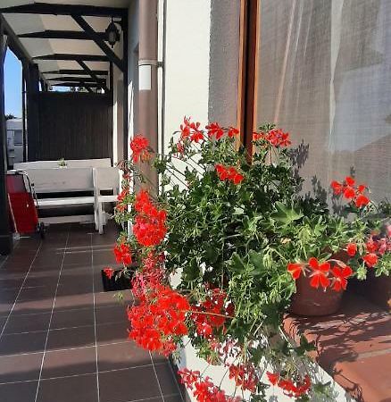 Apartamenty Kalinowa Rowy  Exterior photo